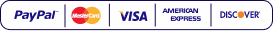 Payment methods accepted on the seller's secure checkout